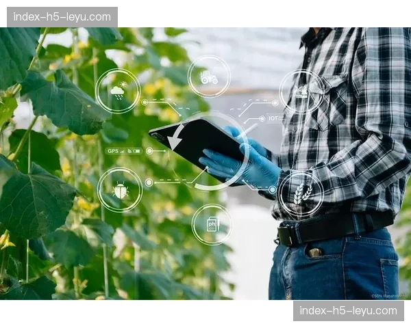 极简制播插件助力乡村体育数字化 这种下沉不仅聚气更带动了区域经贸活力